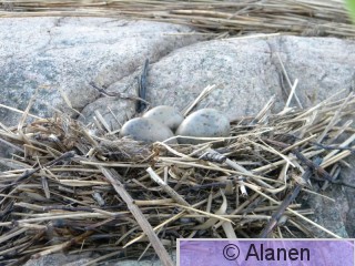 DSCN9200.JPG