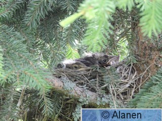 DSCN0568.JPG