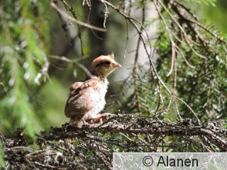 DSCN0787.JPG