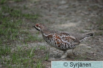 IMG_4468_2_2.JPG