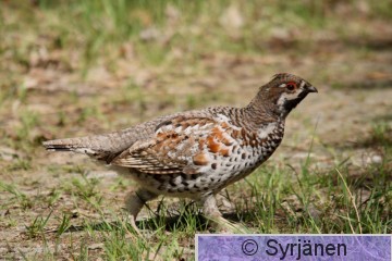 IMG_4484_2_2.JPG
