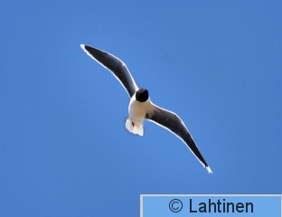 IMG_3551 k.jpg