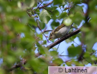 IMG_5467 k.jpg