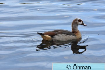 DSC_8139.JPG