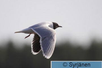 IMG_0640_2_2.JPG