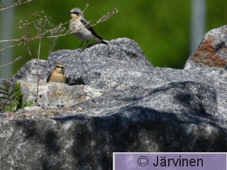 DSCN5637.JPG