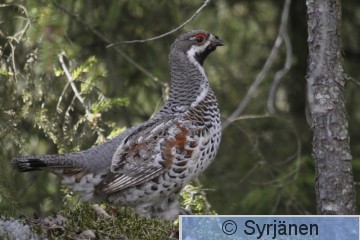 IMG_9553_2.JPG