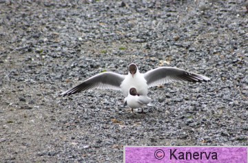 IMG_1657.JPG