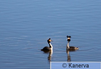 IMG_1686.JPG