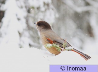 IMG_2150.JPG