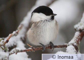 IMG_2236.JPG