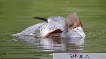 Mermer_088_21.jpg