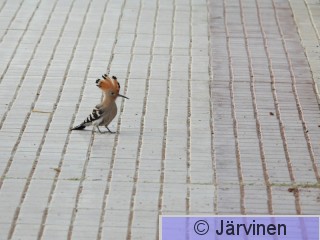 DSCN8808.JPG