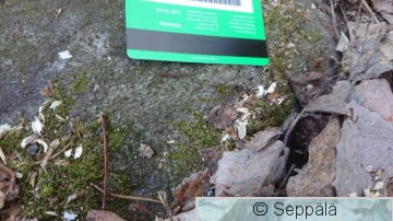 Pikkutikka, silppu.JPG
