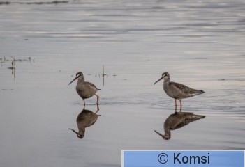 _DSC0783.jpg