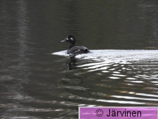 DSCN3303.JPG