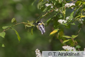 IMG_3131.jpg
