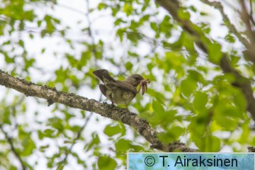 IMG_3462.jpg