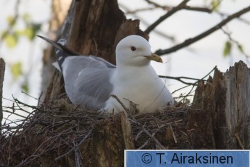 IMG_3475.jpg