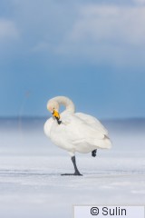 2011_03_25_0241.jpg