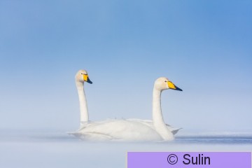 2011_03_25_0308.jpg