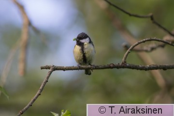 IMG_3700.jpg