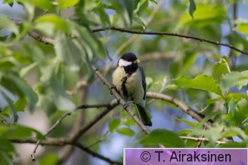 IMG_3708.jpg