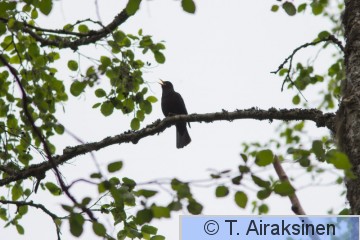 IMG_3757.jpg
