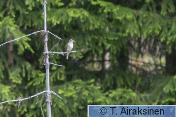 IMG_4008.jpg