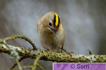 IMG_3191.jpg