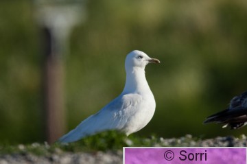 IMG_5188.jpg