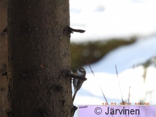 DSCN5156.JPG