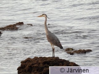 DSCN4260.JPG