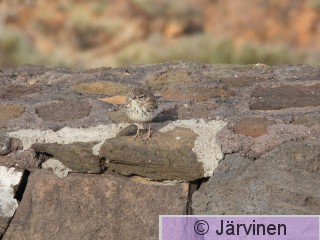 DSCN4387.JPG
