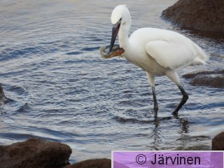 DSCN4438.JPG