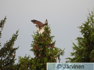 DSCN2182.JPG