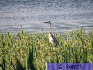 _DSC2756.jpg