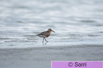IMG_6340.jpg