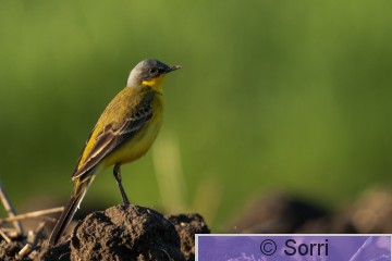 IMG_4042.jpg