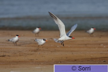 IMG_7074.jpg