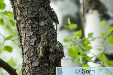 IMG_4095.jpg