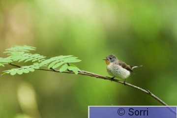 IMG_5048.jpg