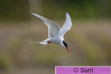 IMG_6836.jpg