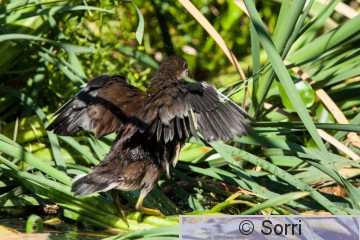 IMG_8569.jpg