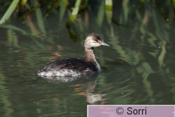 IMG_8705.jpg