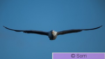 IMG_4350-2.jpg