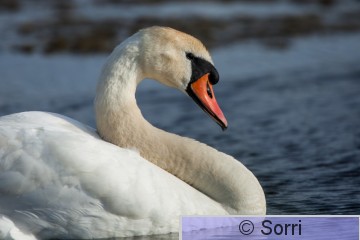 IMG_7263.jpg