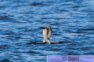 IMG_2414.jpg