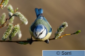 IMG_3593.jpg