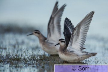 IMG_9783.jpg